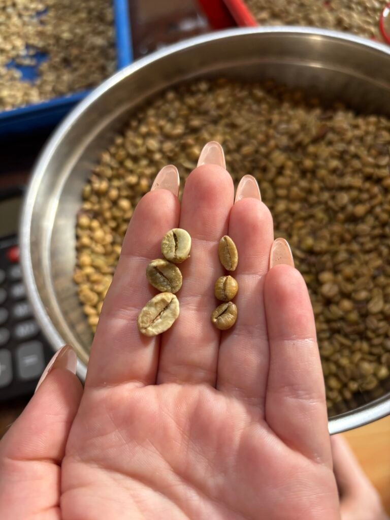 0f740bb0 4d6b 4a2e 86de 3590b9d32753