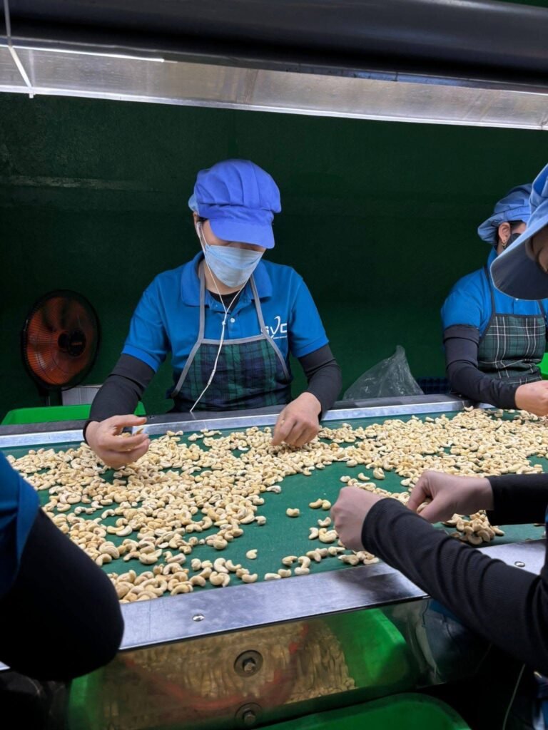 65a5eb0b 06ca 4890 9d95 576b8691e92d