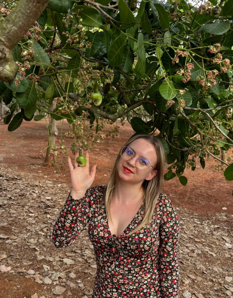 aaf37f9a f033 435b aa1a 453ff3fa0621