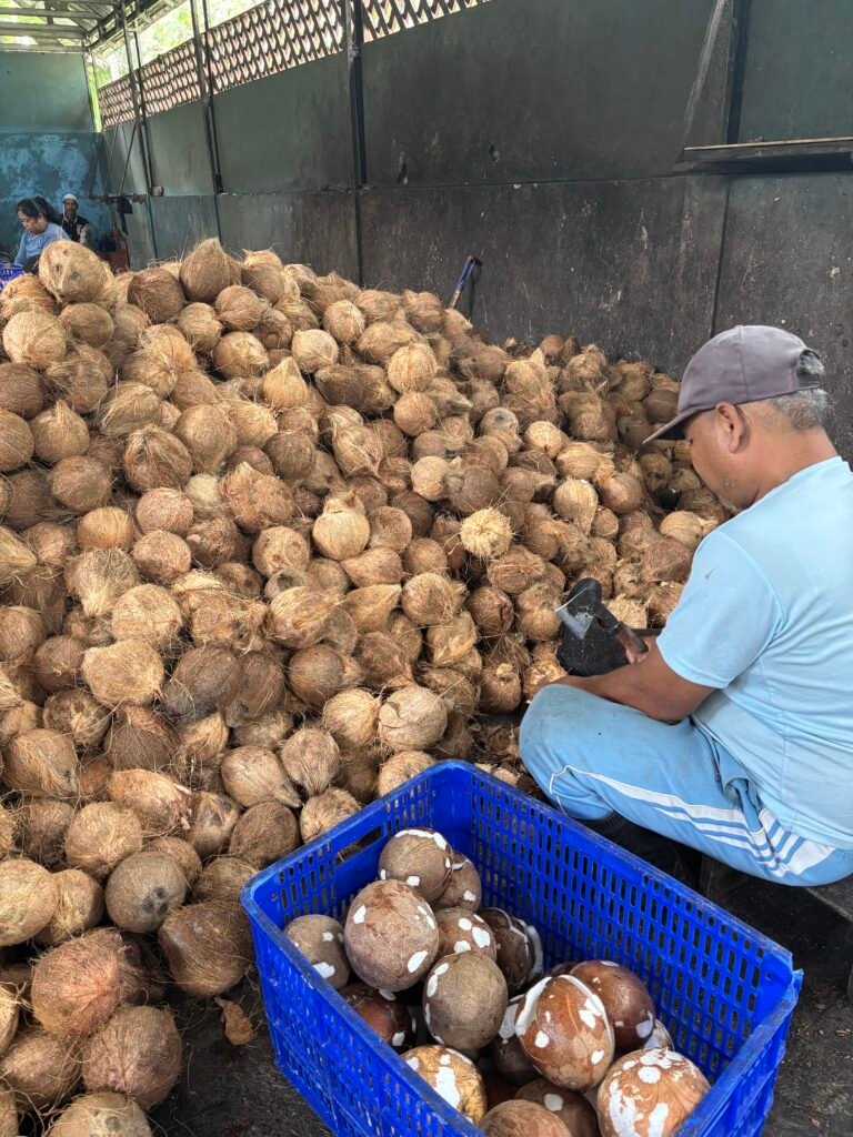 fefc5d48 d28c 44dc ada8 cee4f542be05